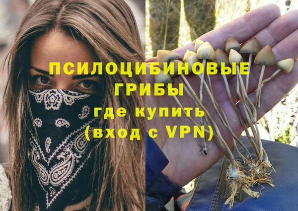 эйфоретик Алексеевка