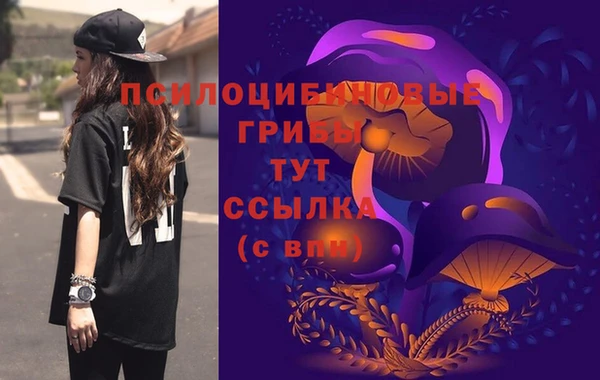скорость Алексин