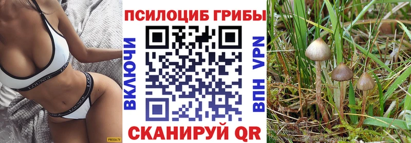 Псилоцибиновые грибы прущие грибы  Переславль-Залесский 